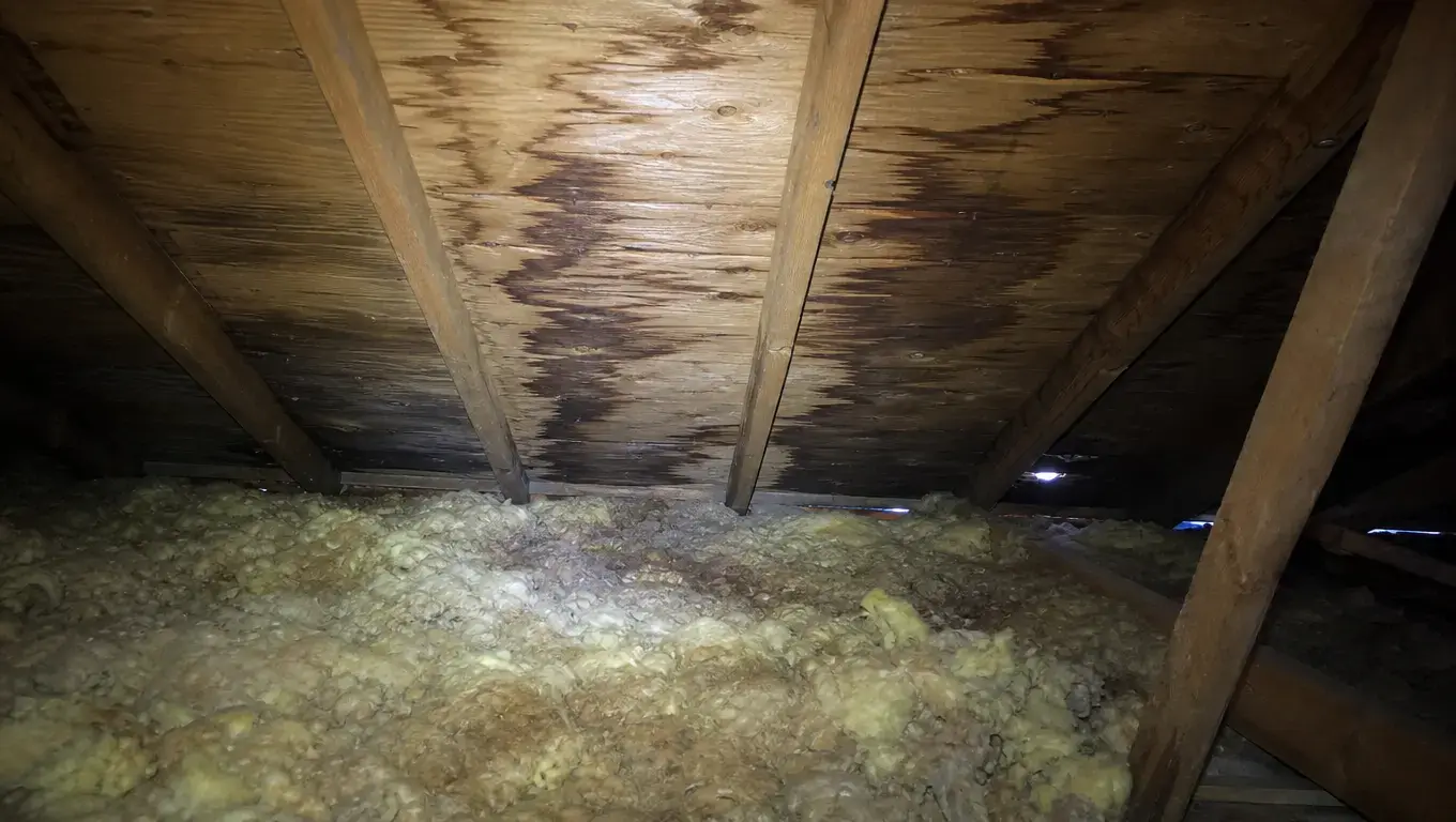 Water staining on attic rafters indicating a roof leak